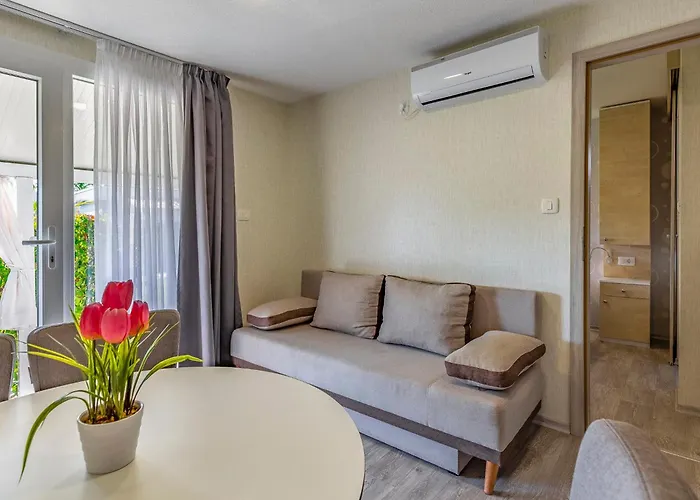 Mobile Luxury Premium-7 By Interhome * 普拉